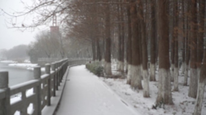 冬天下雪雪景小雪中雪大雪雪花飘落舞台背景