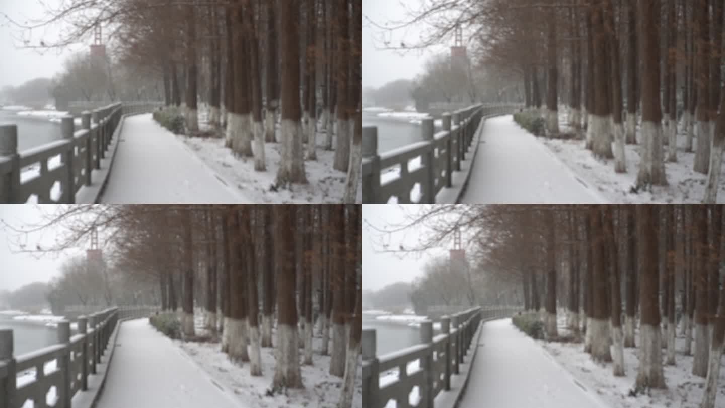 冬天下雪雪景小雪中雪大雪雪花飘落舞台背景