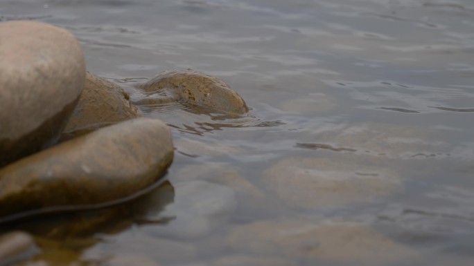 原始素材 黄河冲刷着石头