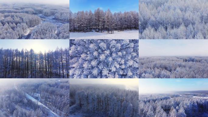 森林树木雪景航拍