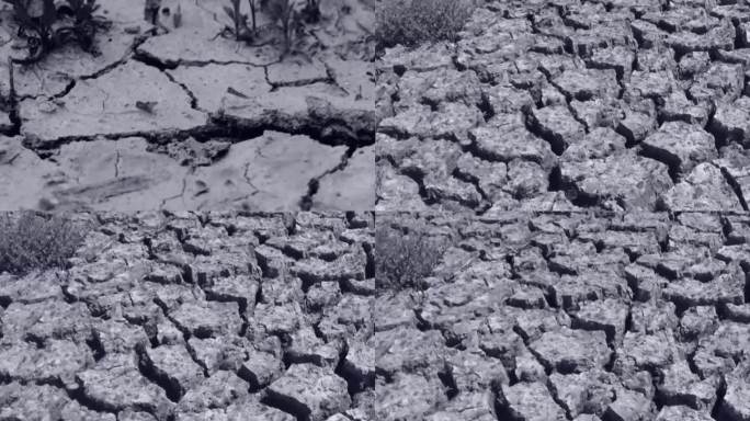 干旱缺水 5060年代