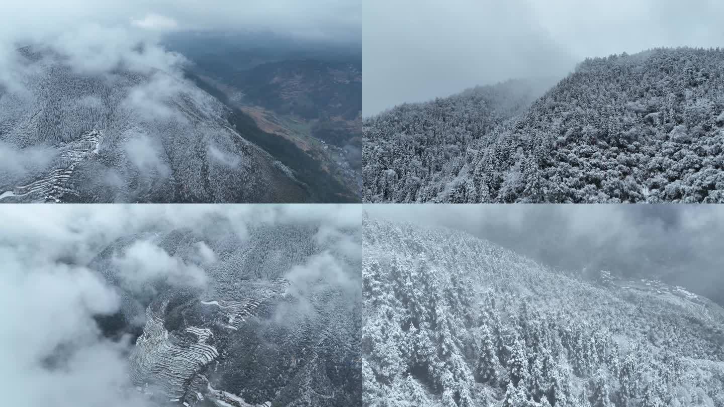 浙江衢州雪山 雪景 航拍