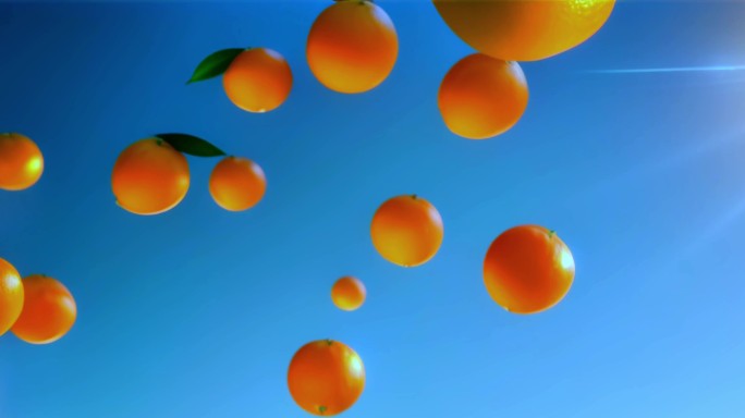 橙子农业脐橙水果果园柑橘