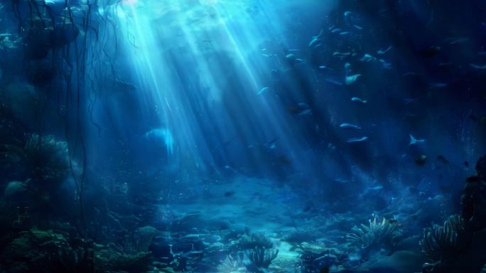 深海 海底 水下 水底世界合集