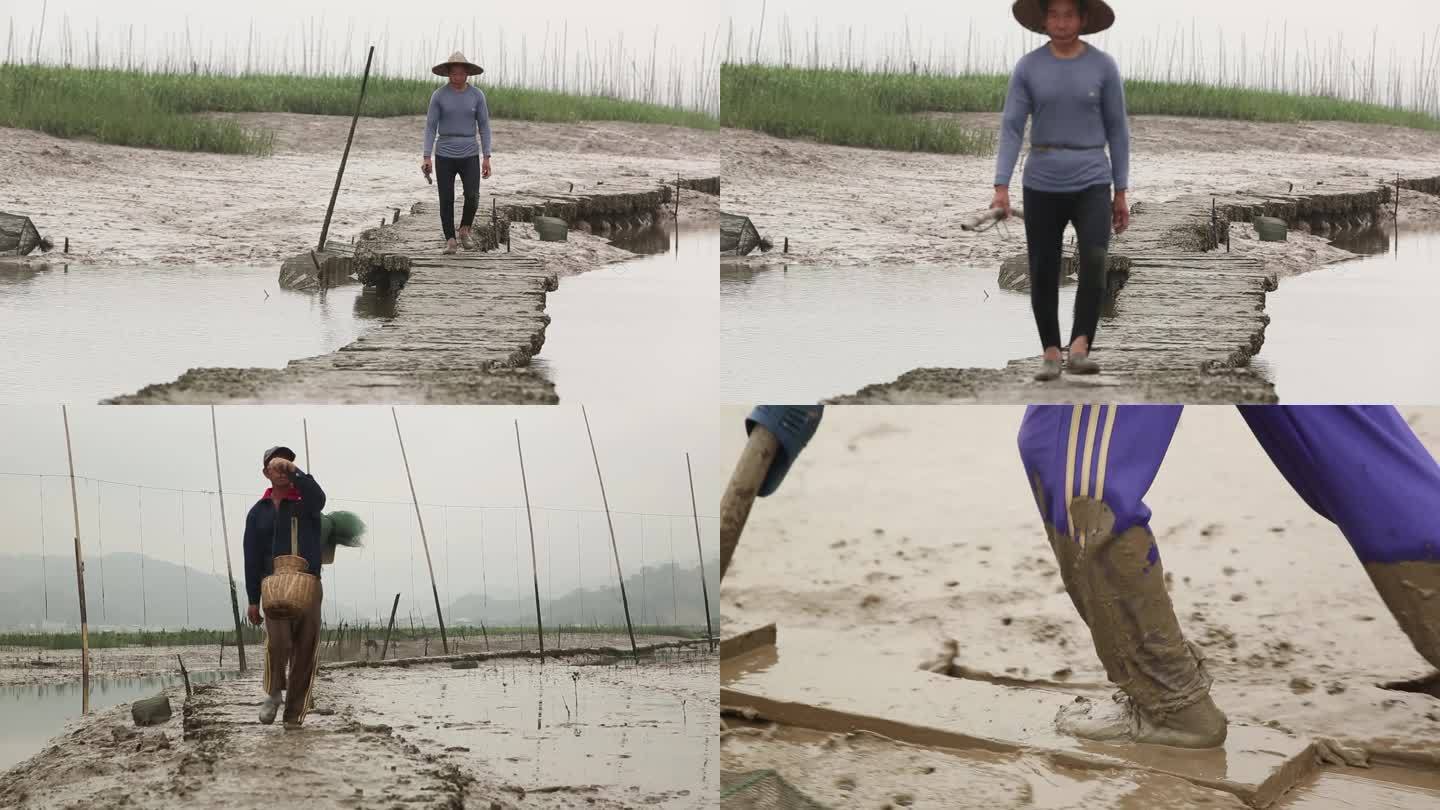 福建 霞浦 在泥泞的滩涂地里行走