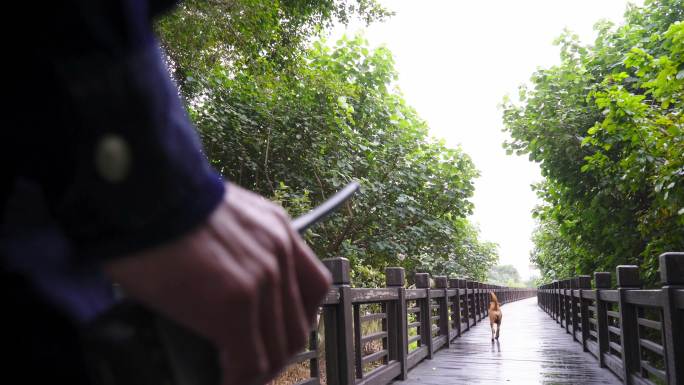 深圳红树林自然保护区维护治安