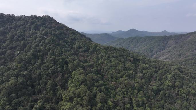信丰金盆山国家森林公园航拍