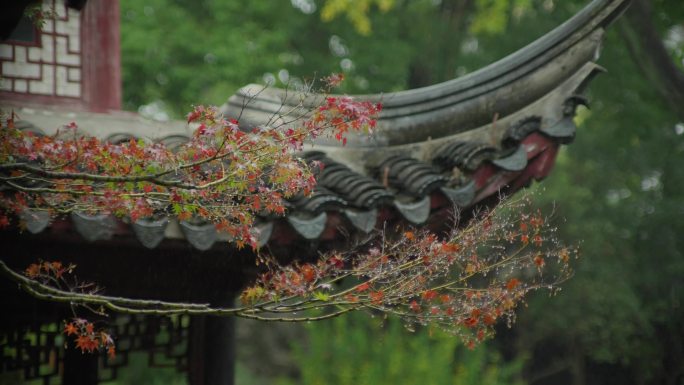 4K中式古建筑 苏州园林 雨 空镜 屋檐