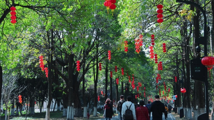 4K春节公园游人和红灯笼
