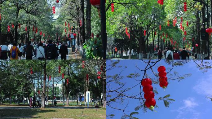 4K春节公园游人和红灯笼