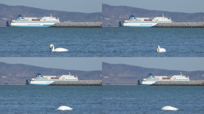 威海经区九龙湾大天鹅海面游轮大船刘公岛