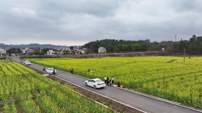 信丰县小河镇烟叶生产航拍