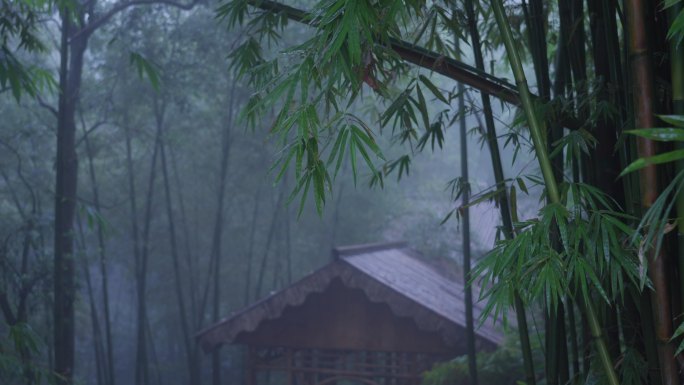 细雨中的竹林深处有间竹房子