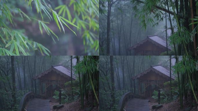 细雨中的竹林深处有间竹房子