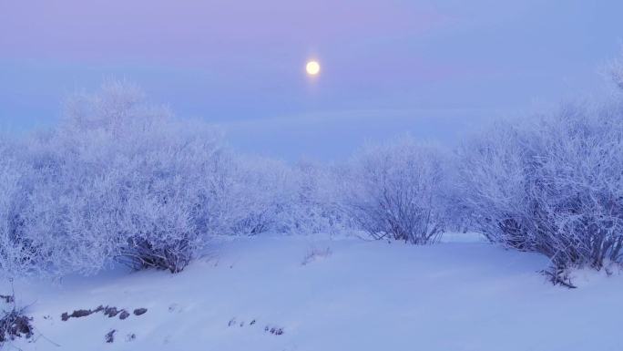 月光雾凇唯美雪景