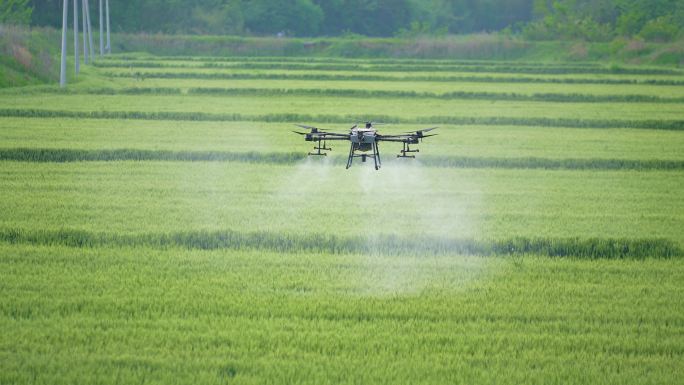 无人机洒农药 现代农业科技（荐）