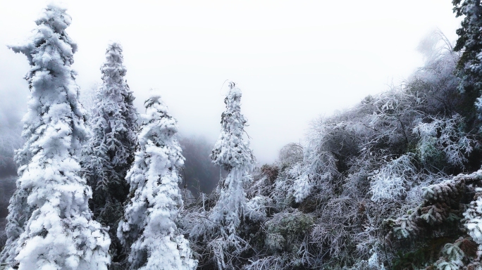 雾凇 雪景 郴州 山区 天寒地冻