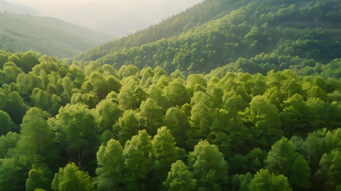植树节种树森林元素素材