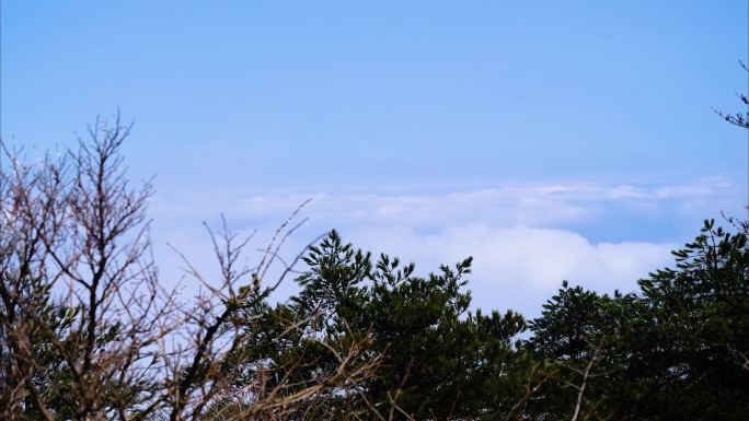 黄山风景区云海延时美景唯美大自然风景风光