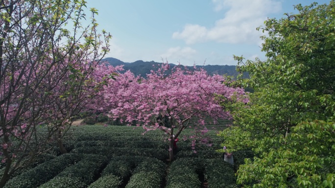 福建风景