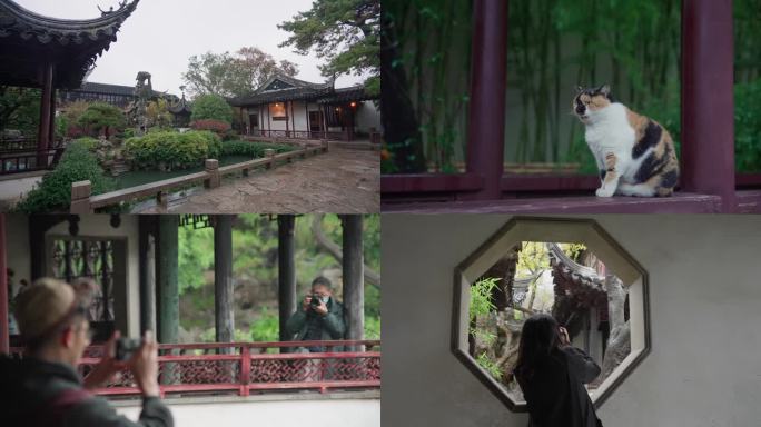 4K中式古建筑 苏州留园 雨季 游客拍照