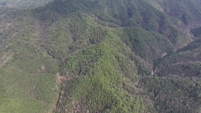 信丰金盆山国家森林公园航拍