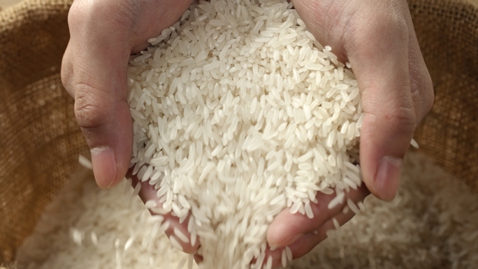 大米农业米粒粮食
