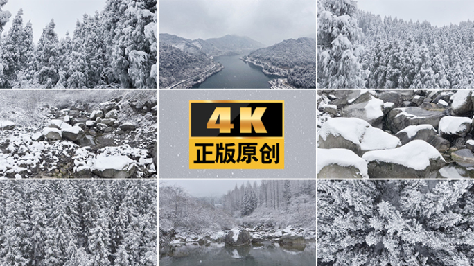 雪下雪雪景冬季冬天大雪小雪雪花立冬冰雪