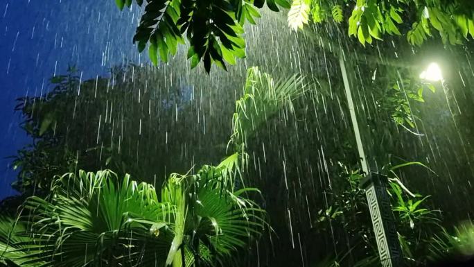 暴雨雨夜 滂沱大雨 暴雨如注 电闪雷鸣