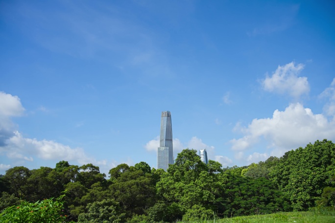 城市天空森林延时视频