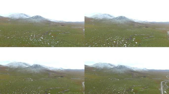 冬季的青海无人区雪山2