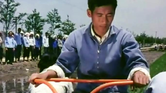 70年代 农业机械化 机插秧与人工比赛