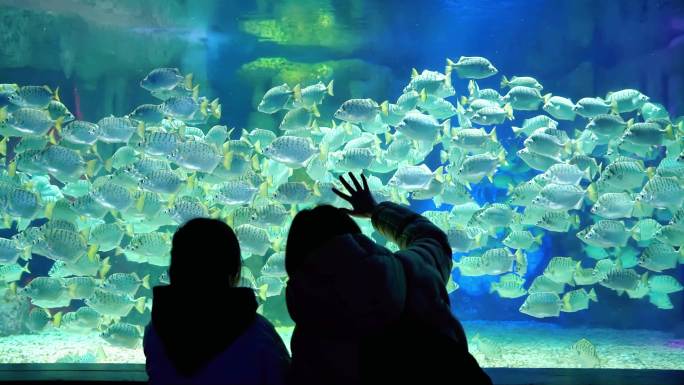 水族馆水族箱前两个女生在观赏游动的鱼群