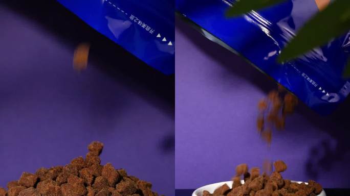 猫粮狗粮掉落在紫色纯色背景下慢动作升格