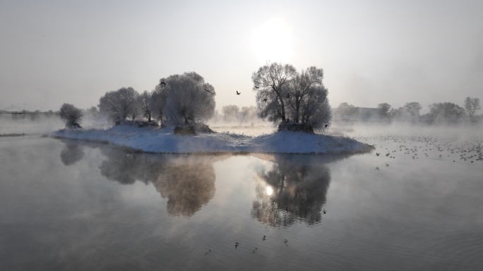 4K航拍冬季呼市大黑河千岛湖雾凇、赤麻鸭
