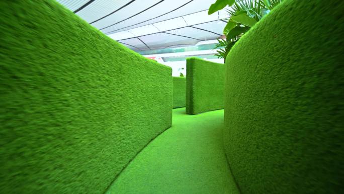 室内绿色迷宫