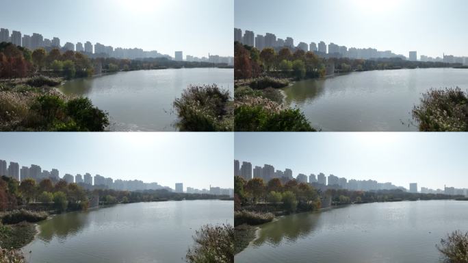 合肥梅冲湖公园【4K】航拍