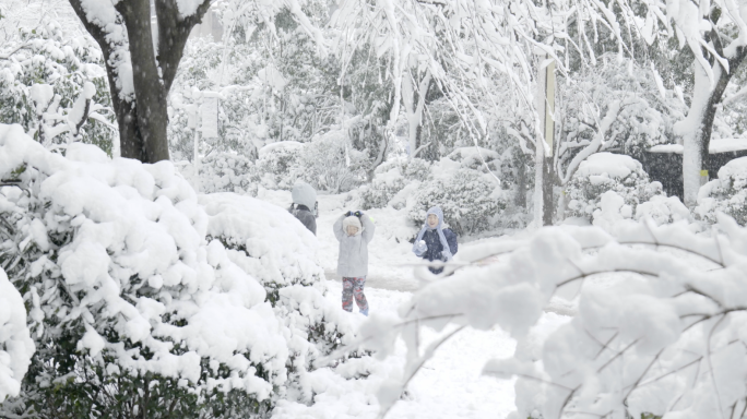 南方暴雪天打雪仗玩耍快乐