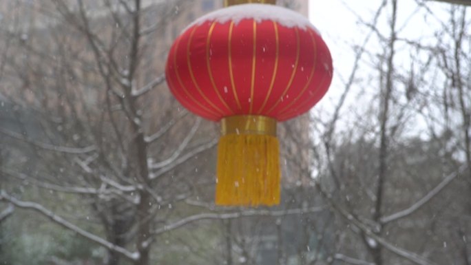 冬天下雪雪景小雪中雪大雪雪花飘落舞台背景