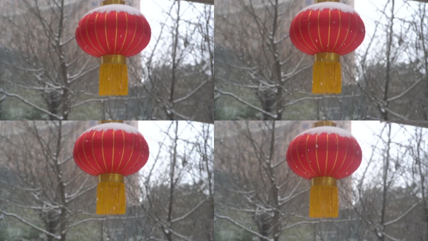 冬天下雪雪景小雪中雪大雪雪花飘落舞台背景