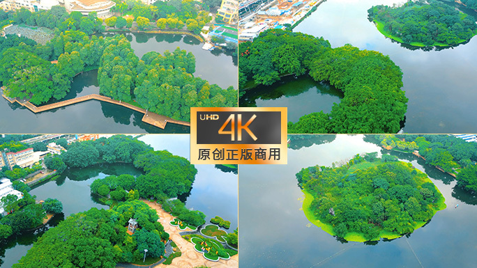 广州越秀区流花湖公园航拍合集 森林湖泊
