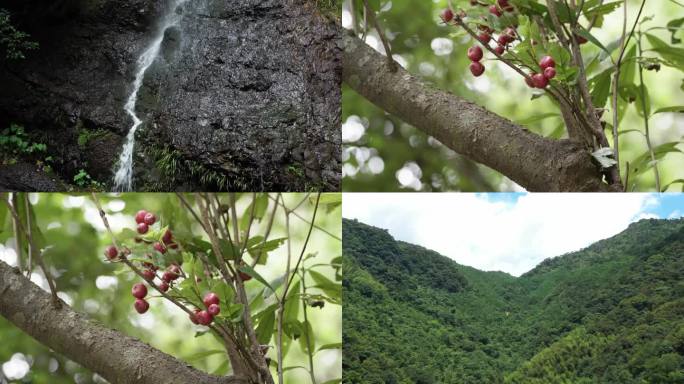 山间溪流 山楂树 自然风光