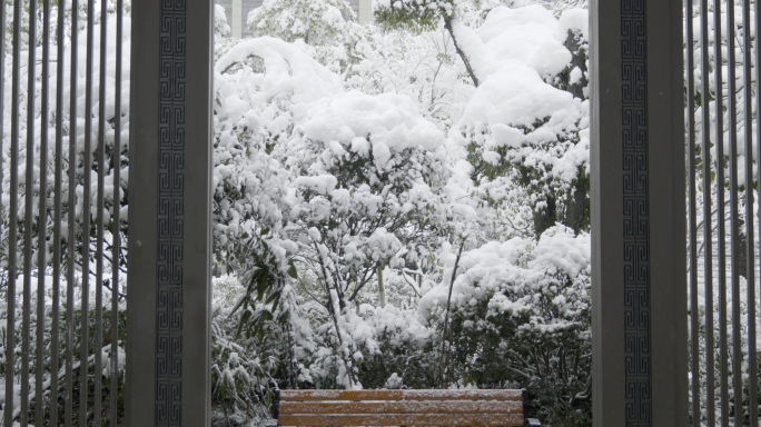 南方暴雪雪天树上积雪下雪冬天寒冷5