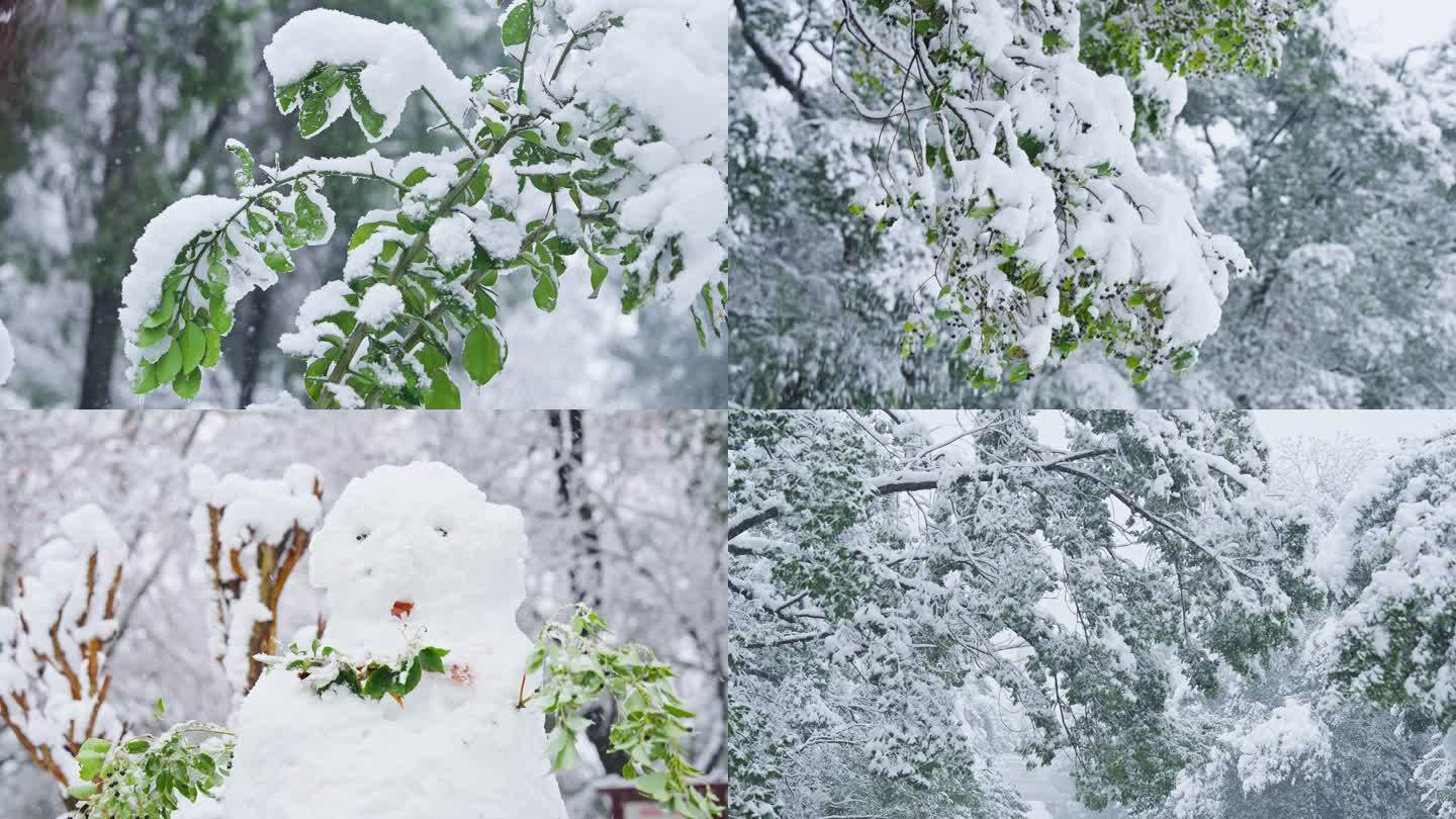 下雪唯美雪景公园游人出行