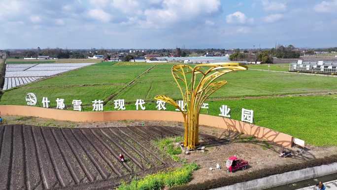 四川省什邡市雪茄大道航拍素材