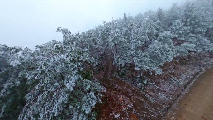 雾凇雪天FPV