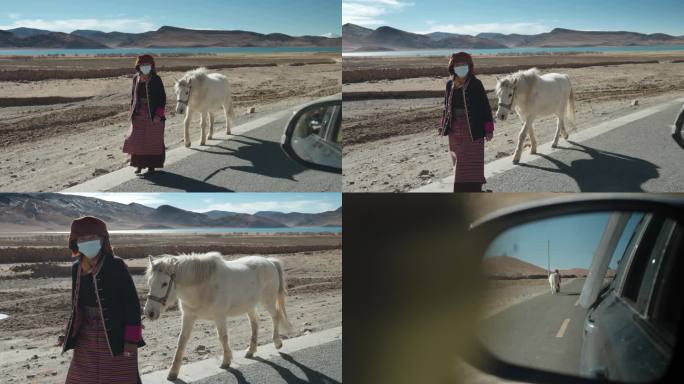 4K 西藏路上牵马的妇人