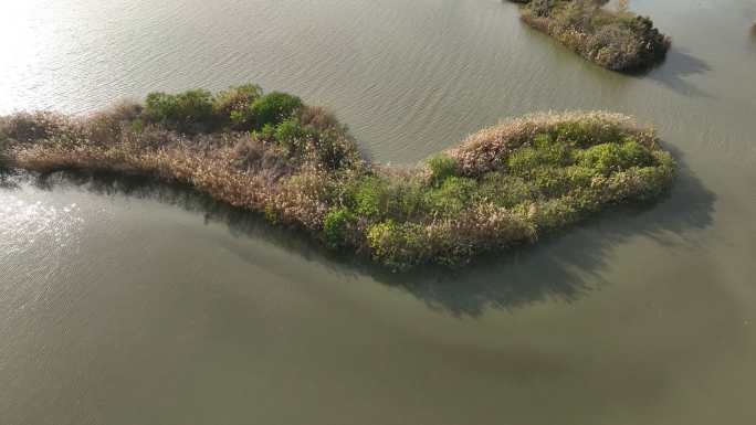 合肥梅冲湖公园【4K】航拍