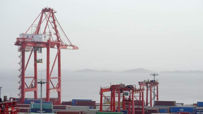 上海洋山港码头机械集装箱作业合集