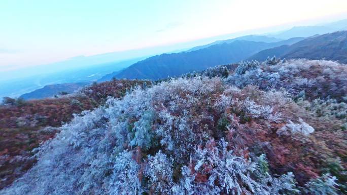 大自然农村山顶雾凇